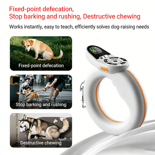 Wireless Pet Trainer + Retractable Leash – One-Button Brake System