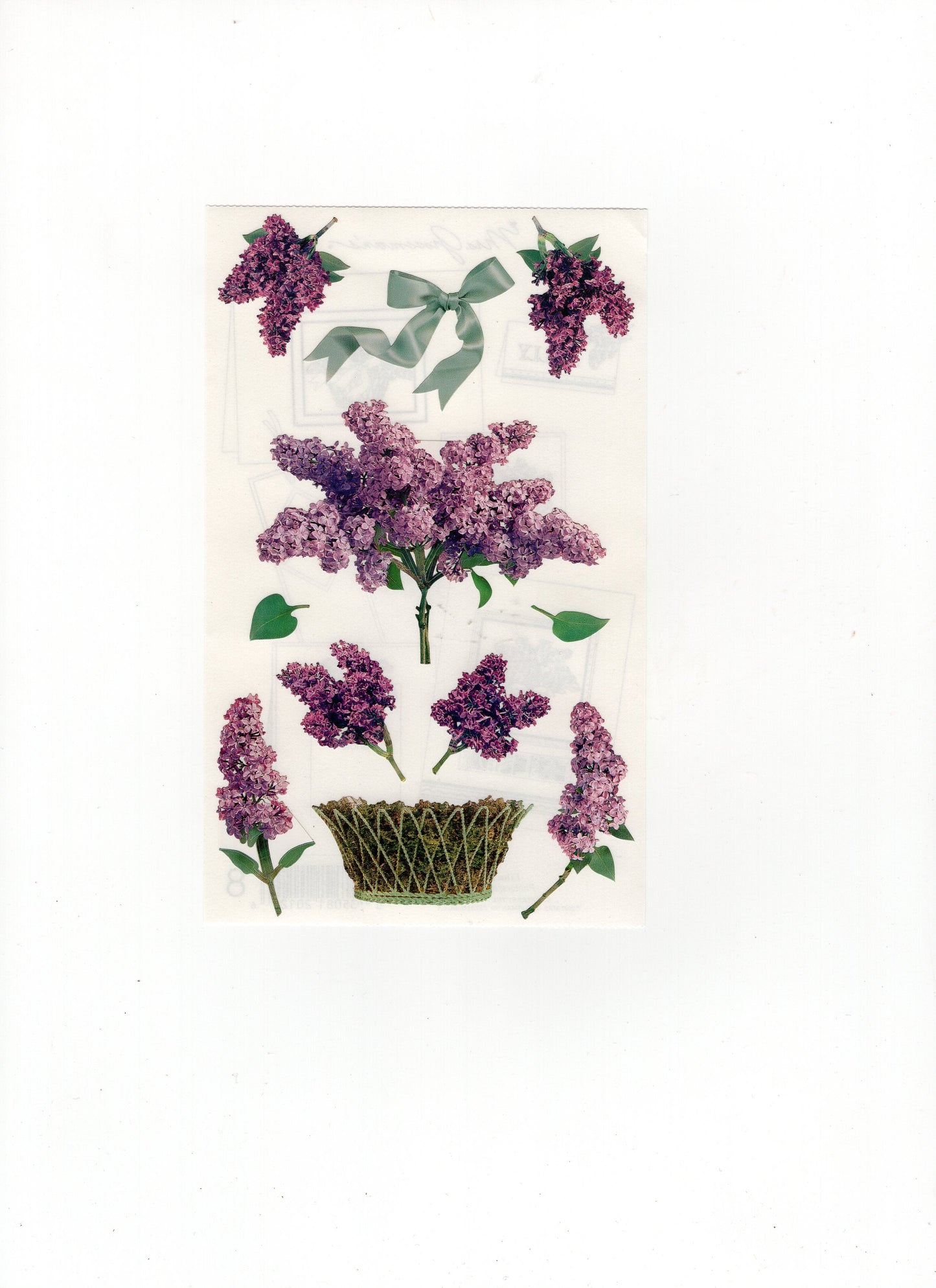 Lilacs