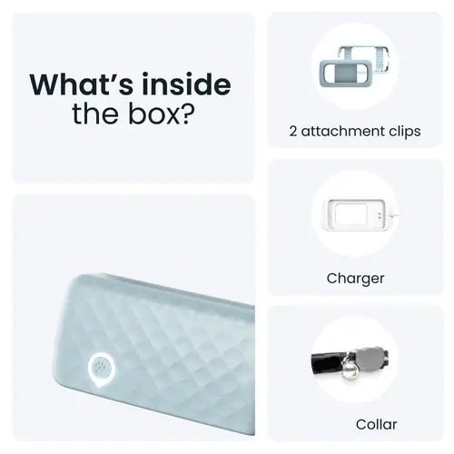 Mini GPS Cat Tracker – Real-Time Location & Activity Monitor with Safety Collar