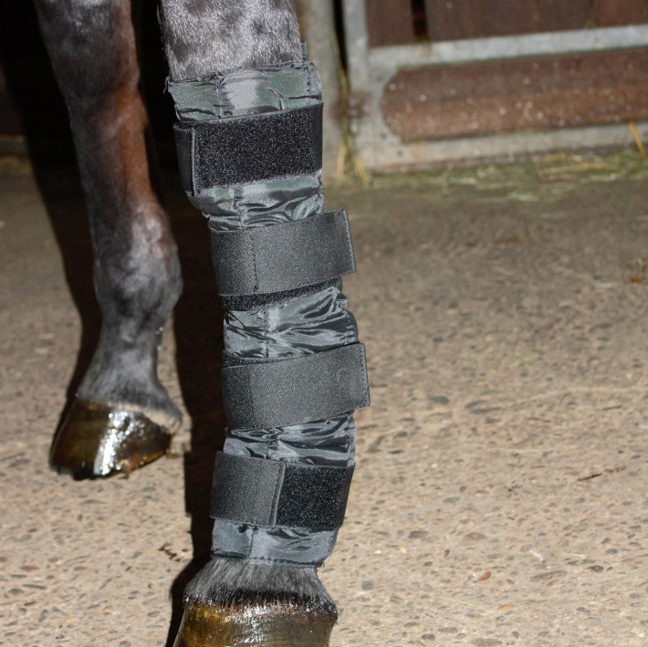 Horse leg cooling boots