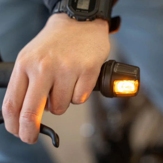 Turn Signal System