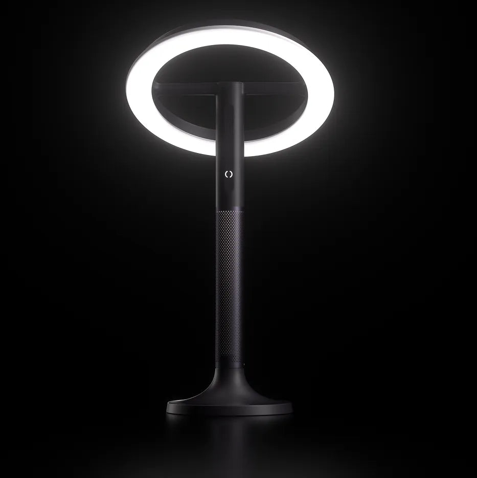 Multifunctional sleep monitor
