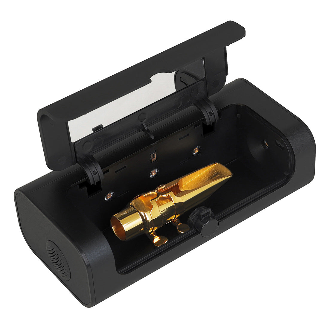 Wind instrument disinfection box