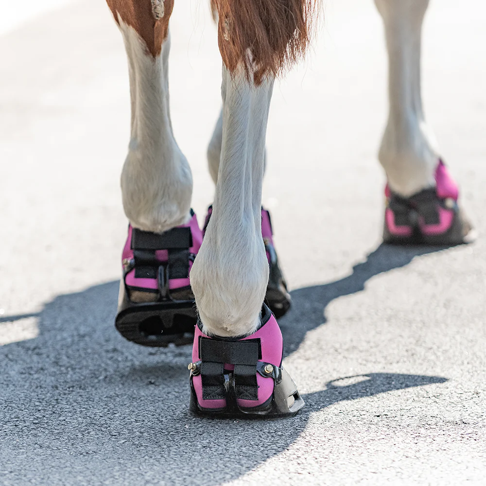 Horseshoe Multifunctional Leg Warts