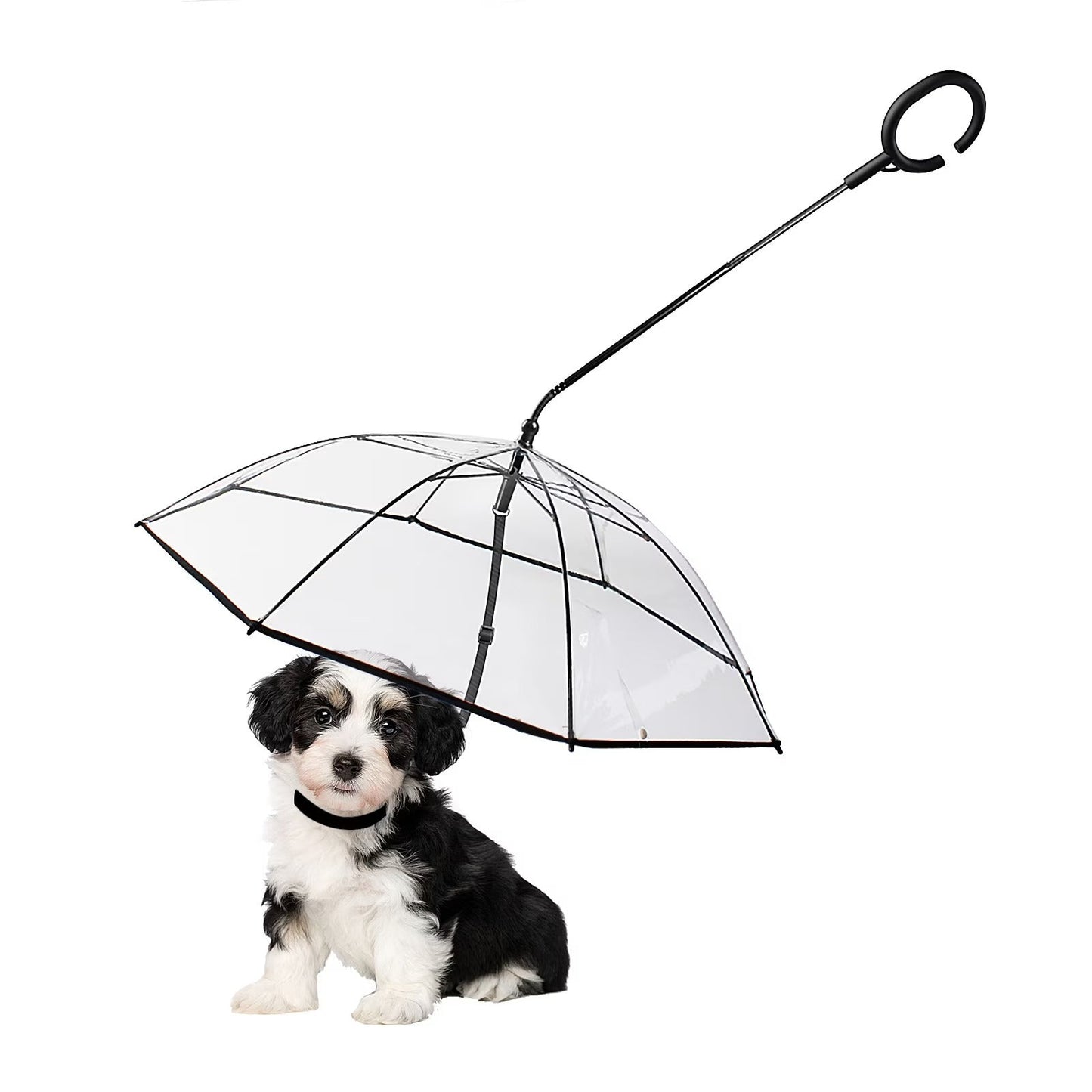 Transparent Foldable Pet Leash – Rain Protection, Adjustable Length, Portable