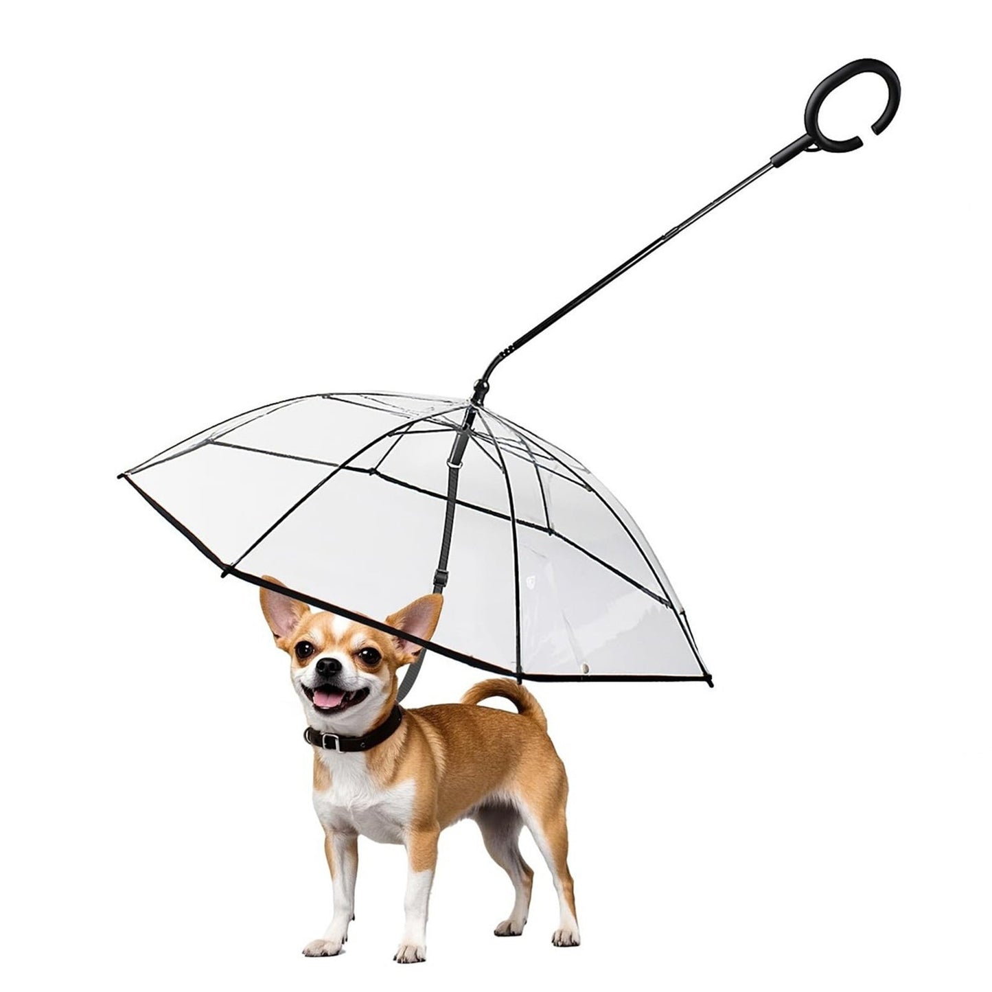 Transparent Foldable Pet Leash – Rain Protection, Adjustable Length, Portable