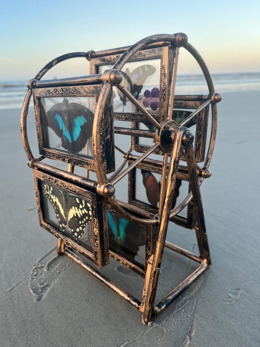 Butterfly Ferris Wheel - Randomly select a whimsical Ferris wheel