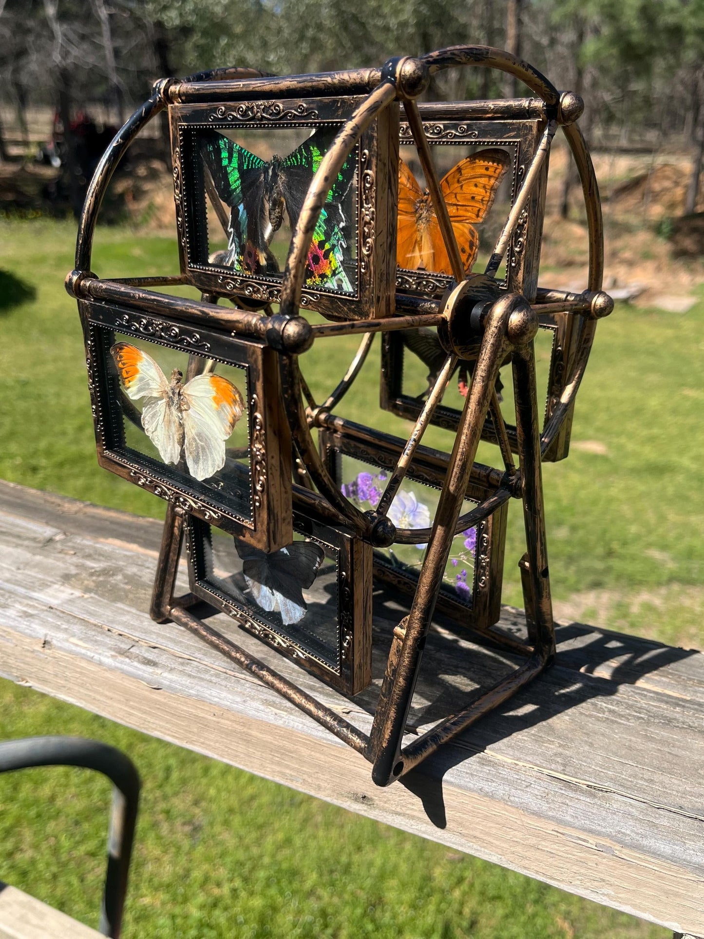 Butterfly Ferris Wheel - Randomly select a whimsical Ferris wheel