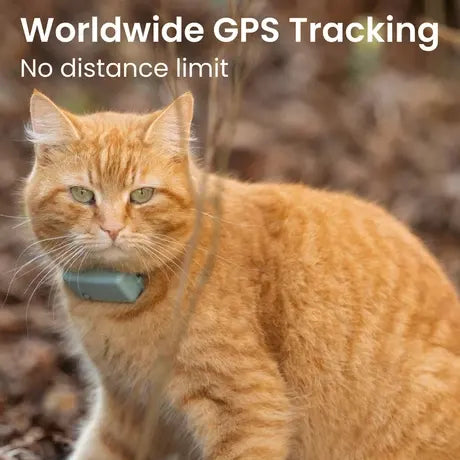 Mini GPS Cat Tracker – Real-Time Location & Activity Monitor with Safety Collar
